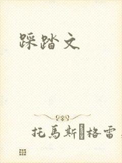踩踏文封面