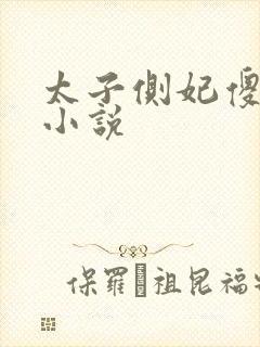 太子侧妃傻乎乎小说