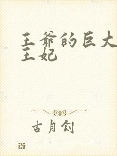 王爷的巨大进入王妃封面