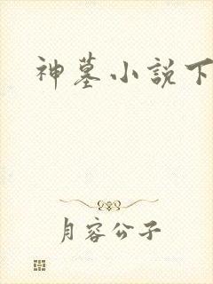神墓小说下载