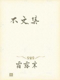 不文集封面