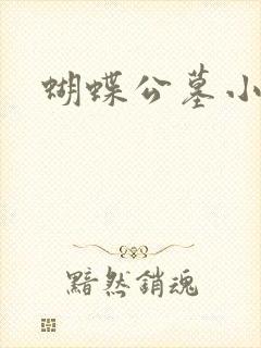 蝴蝶公墓小说