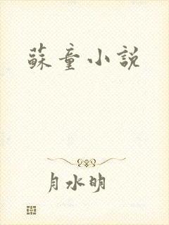苏童小说