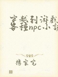 穿越到游戏里和各种npc小说封面
