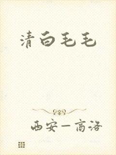 清白毛毛封面