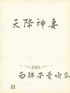 天降神妻