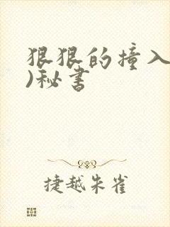 狠狠的撞入(h)秘书