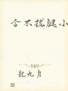 合不拢腿小说