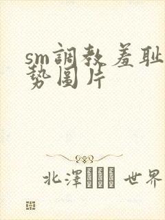 sm调教羞耻姿势图片