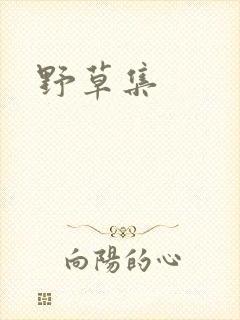 野草集封面