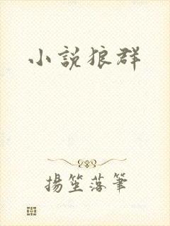 小说狼群封面