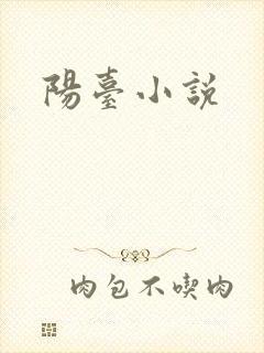 阳台小说