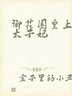 御花园皇上撞着太子妃