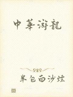 中华游龙封面