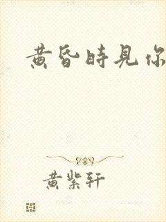 黄昏时见你封面