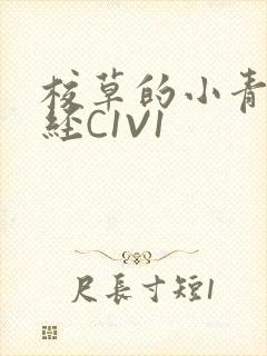 校草的小青梅不经C1V1