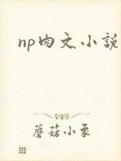 np肉文小说