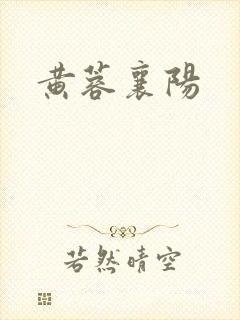 黄蓉襄阳