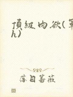 顶级肉欲(军高h)