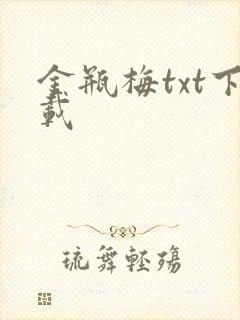 金瓶梅txt下载