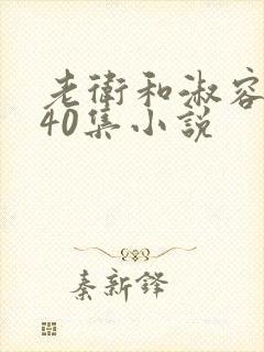 老卫和淑容1-40集小说