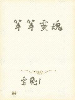 等等灵魂