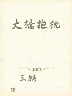 大桥抱枕