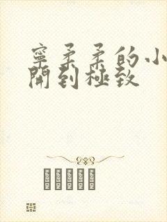 宁柔柔的小泬撑开到极致