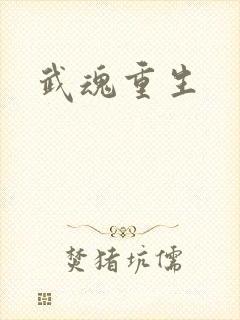 武魂重生封面