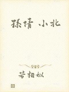 孙倩 小北封面