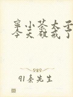 宁小茶太子殿下今天破戒了吗免费阅读