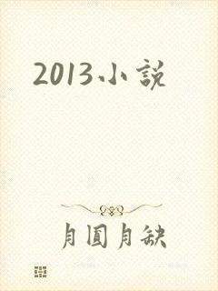 2013小说