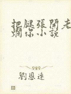 把腿张开老子臊烂你小说