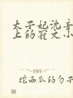 太子妃沈音和皇上的宠文小说