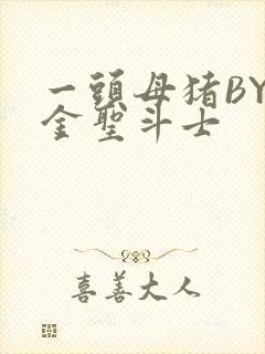 一头母猪BY黄金圣斗士