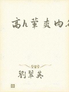 高h荤爽肉欲文