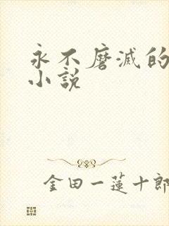 永不磨灭的番号小说