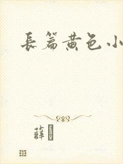 长篇黄色小说
