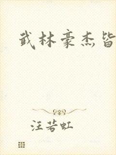 武林豪杰皆我奴