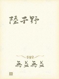 陆子野封面