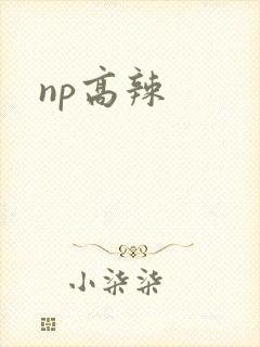 np高辣