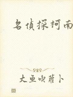 名侦探柯南h