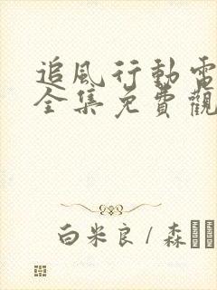 追风行动电视剧全集免费观看