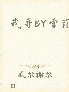 我哥BY雪莉封面
