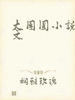 大团圆小说集全文