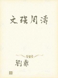 文强周涛封面