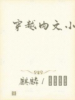 穿越肉文小说封面
