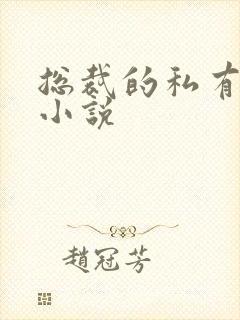 总裁的私有宝贝小说