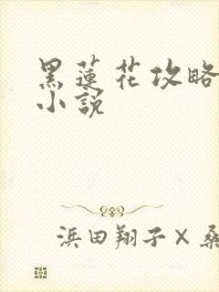 黑莲花攻略手册小说