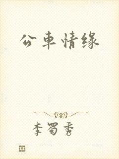公车情缘